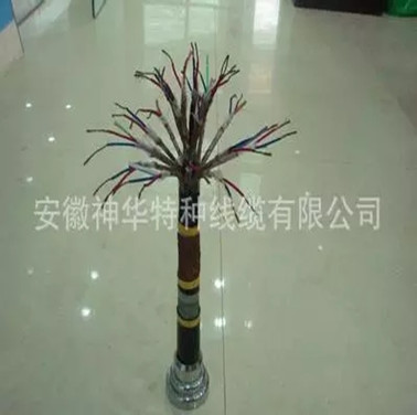 上海计算机电缆03